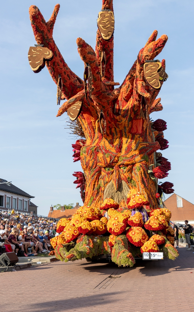 De Natuur Ontwaakt, Foto Judith van Aert