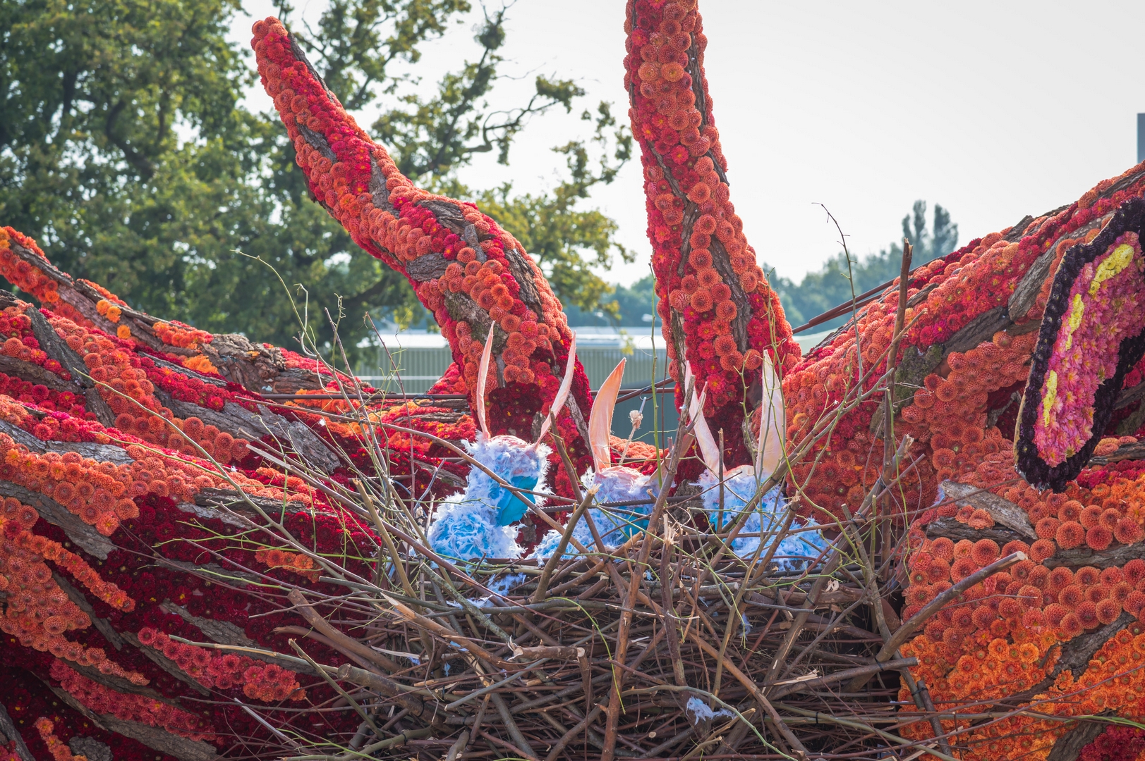 De Natuur Ontwaakt, Foto Charles van Campenhout
