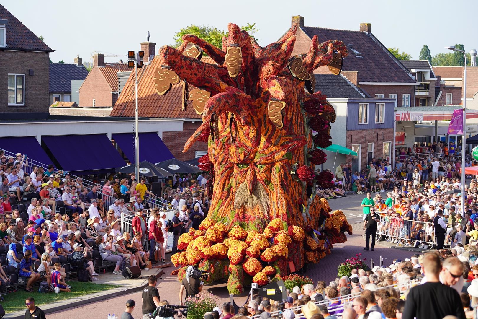 De Natuur Ontwaakt, Foto Sander Vlug