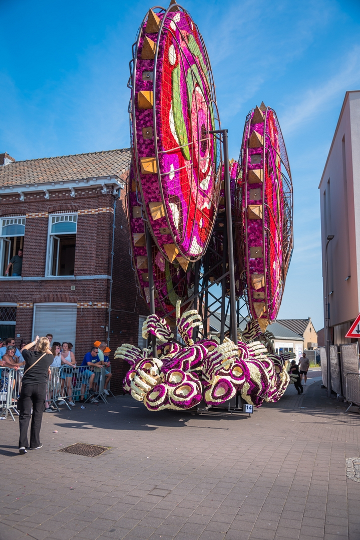 Invasie, Foto Charles van Campenhout