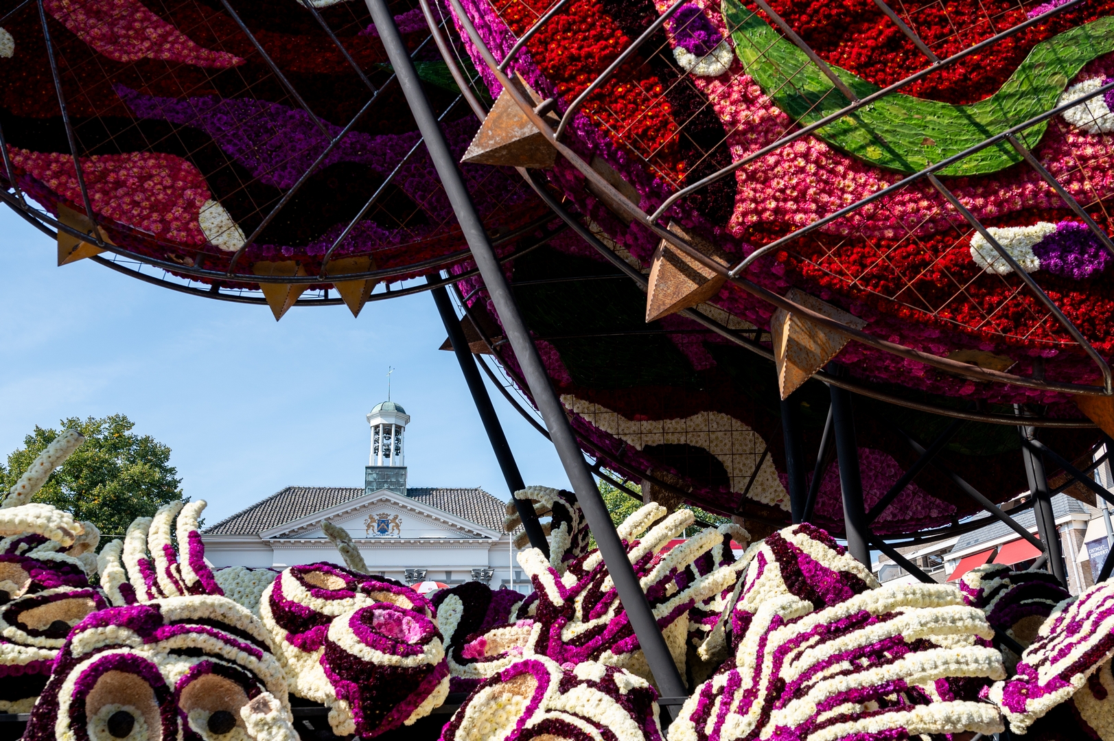 Invasie, Foto José van Trijp fotografie
