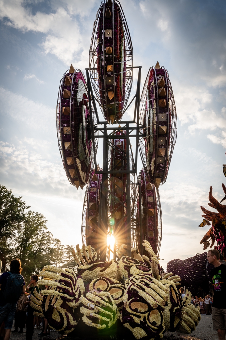 Invasie, Foto Eefje fotografie