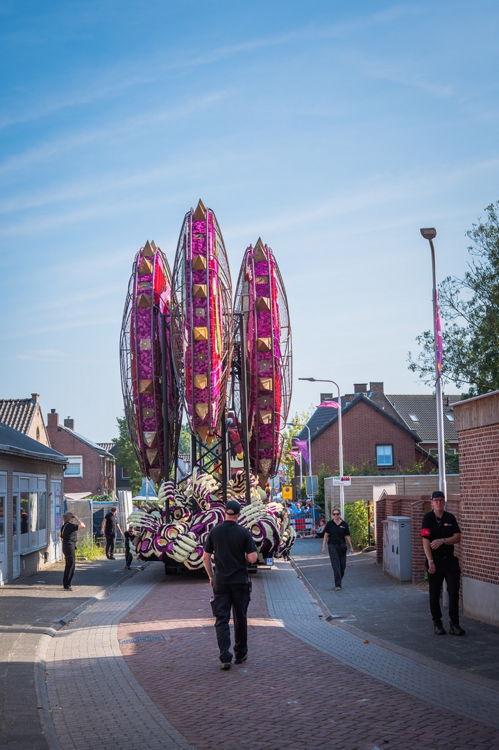 Invasie, Foto Charles van Campenhout