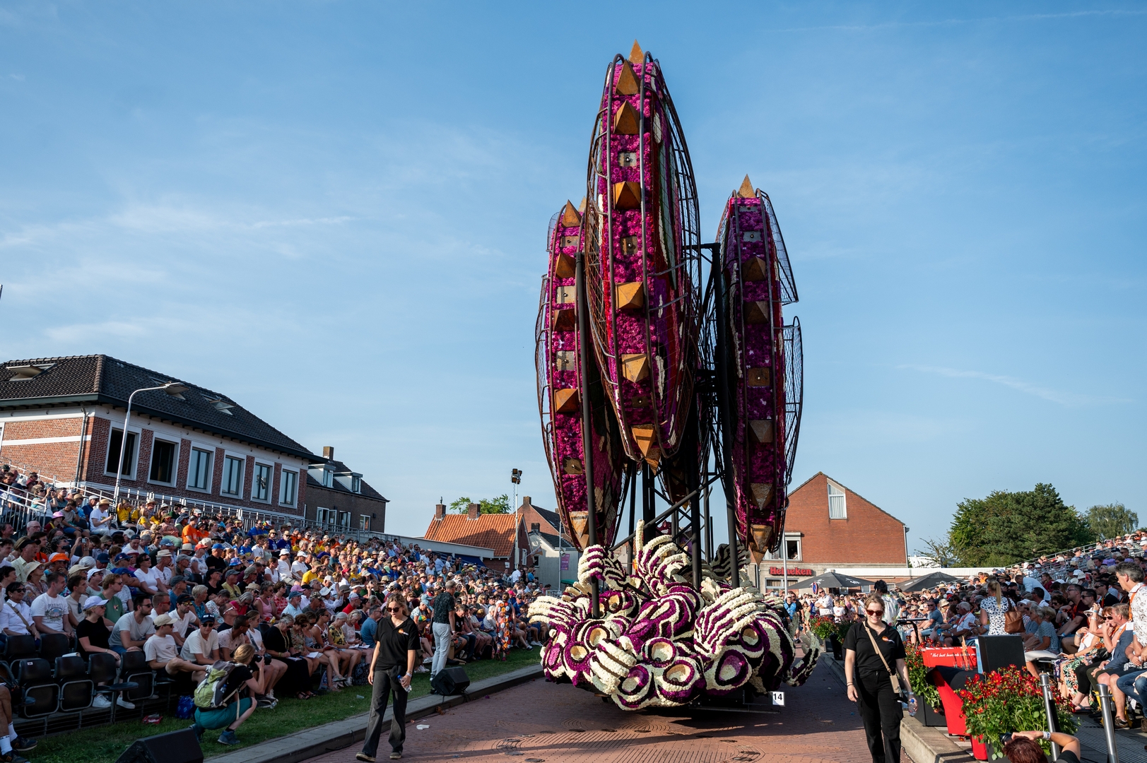 Invasie, Foto José van Trijp fotografie