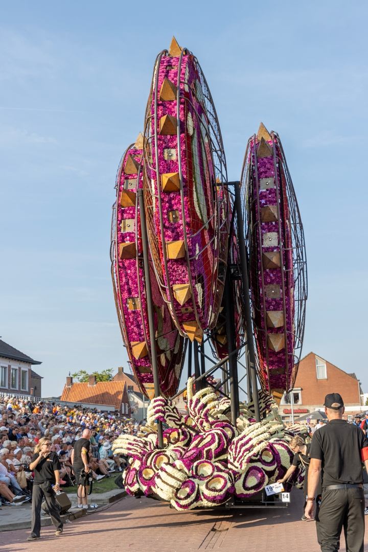 Invasie, Foto Judith van Aert