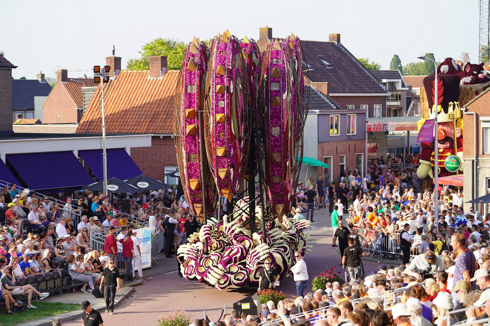 Invasie, Foto Sander Vlug