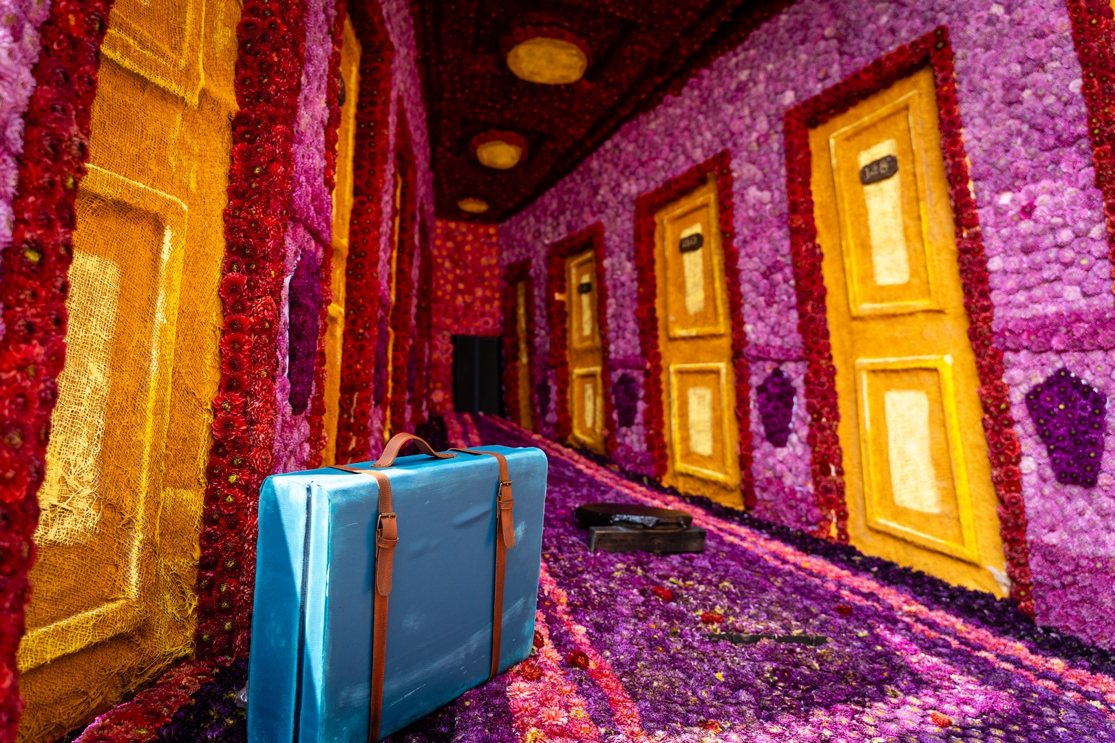 The Lost Suitcase, Foto Eefje fotografie