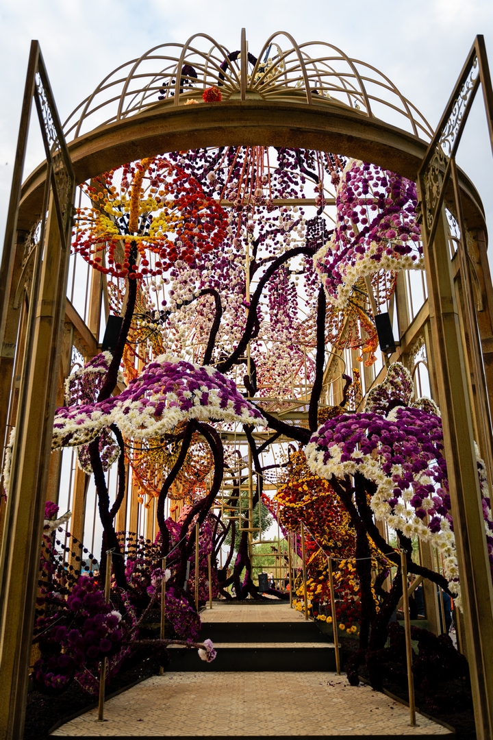Orangerie, Foto Eefje fotografie