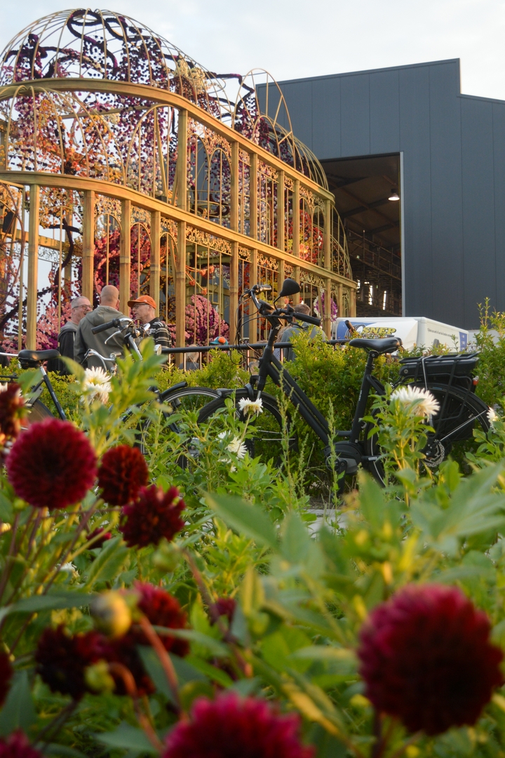 Orangerie, Foto Joeri Sannen
