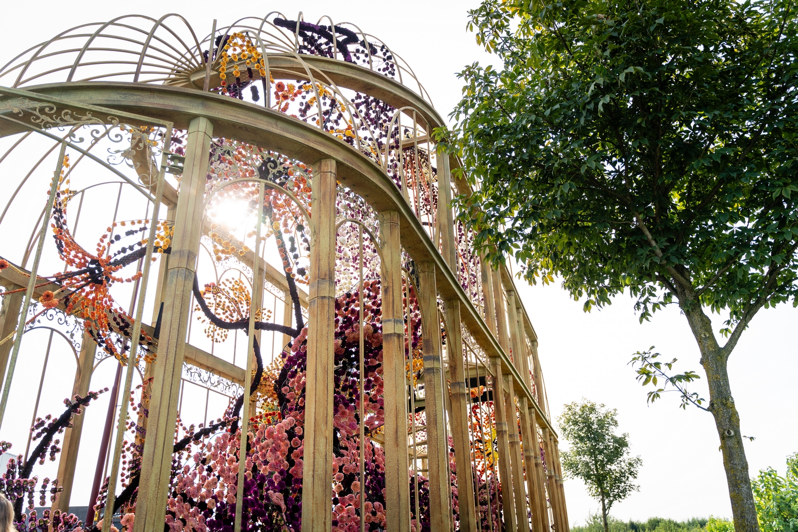 Orangerie, Foto Eefje fotografie