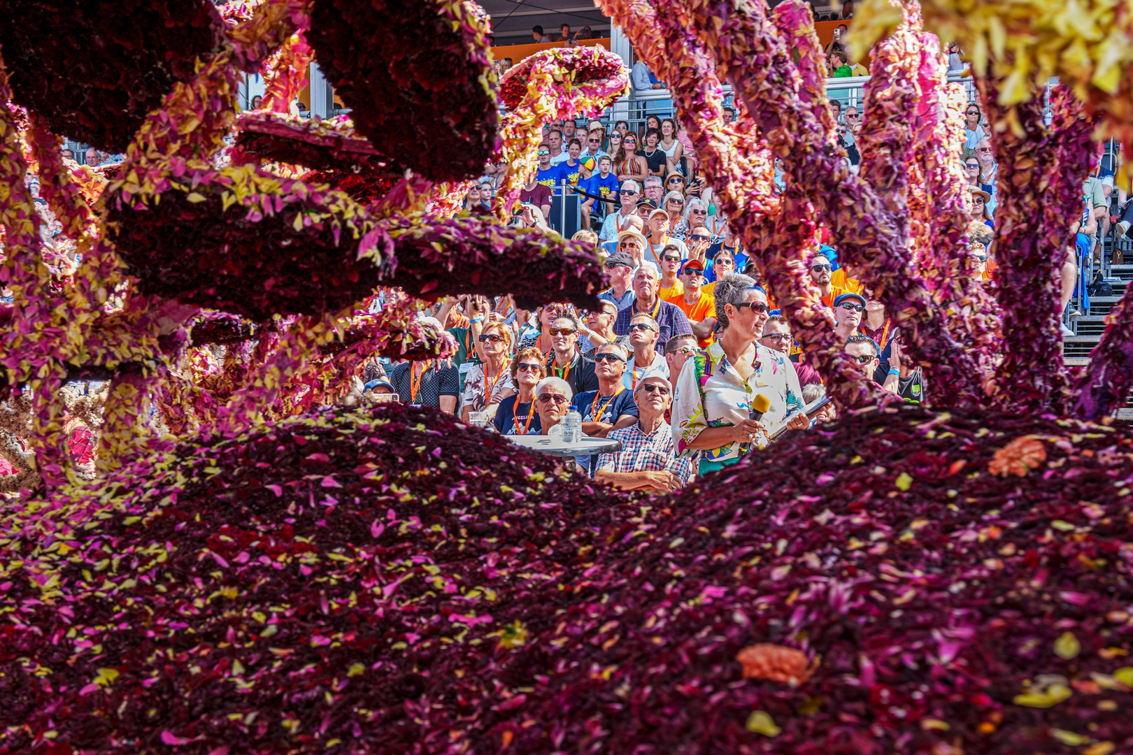 De Diepzeeduiker, Foto Paul Ranft