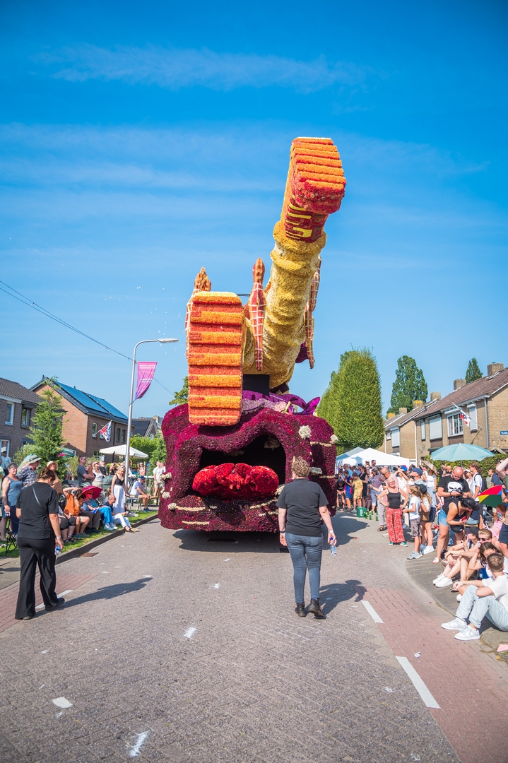 De Diepzeeduiker, Foto Charles van Campenhout