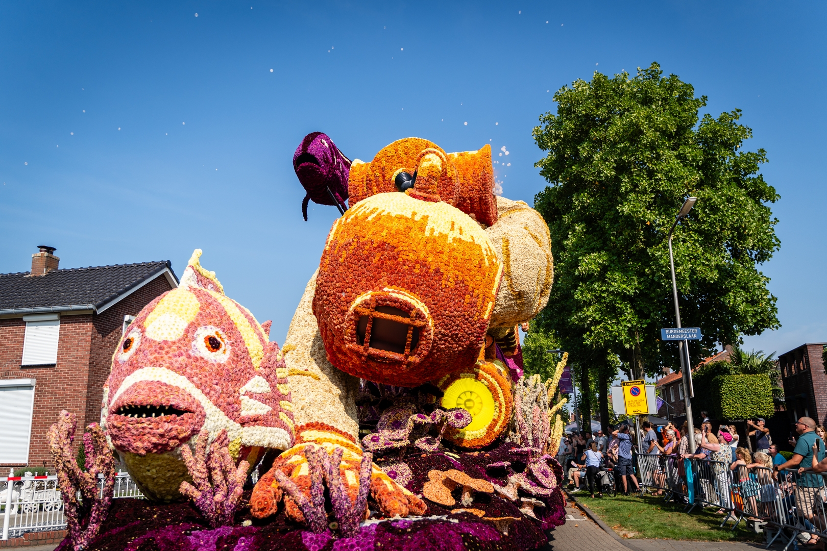 De Diepzeeduiker, Foto Eefje fotografie