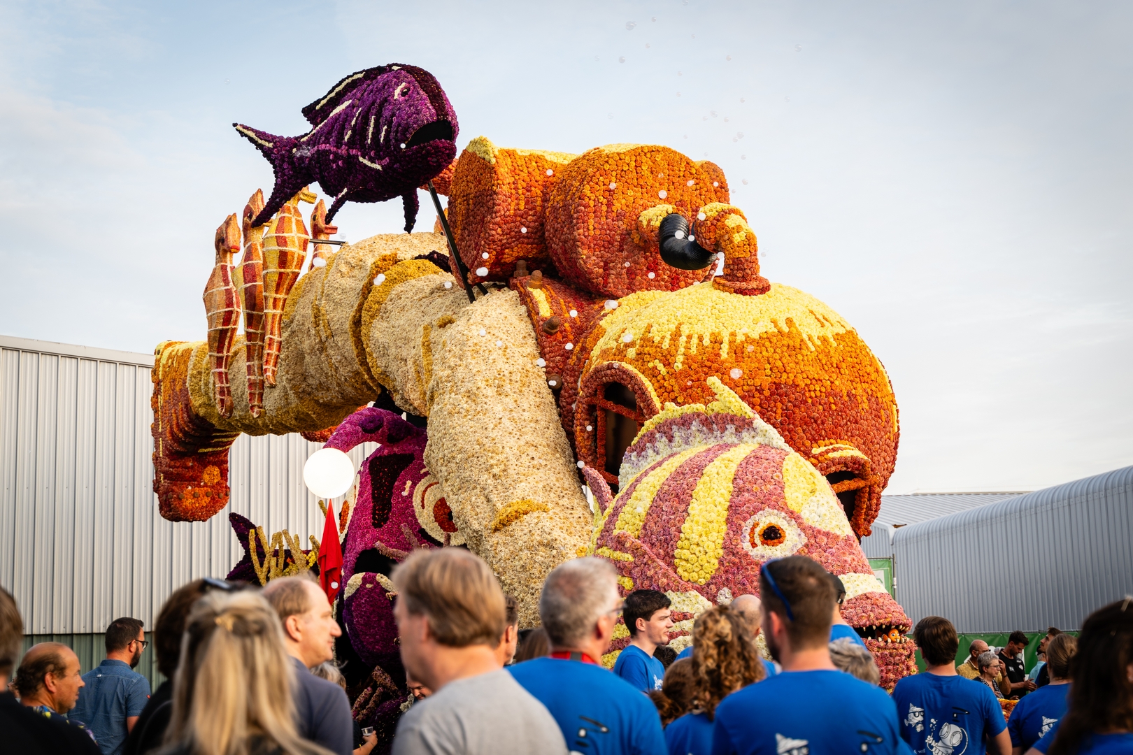 De Diepzeeduiker, Foto Eefje fotografie
