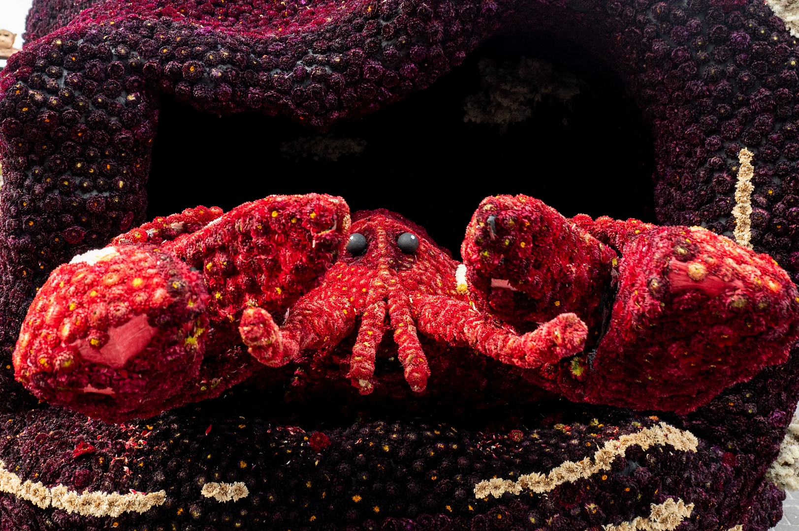De Diepzeeduiker, Foto José van Trijp fotografie