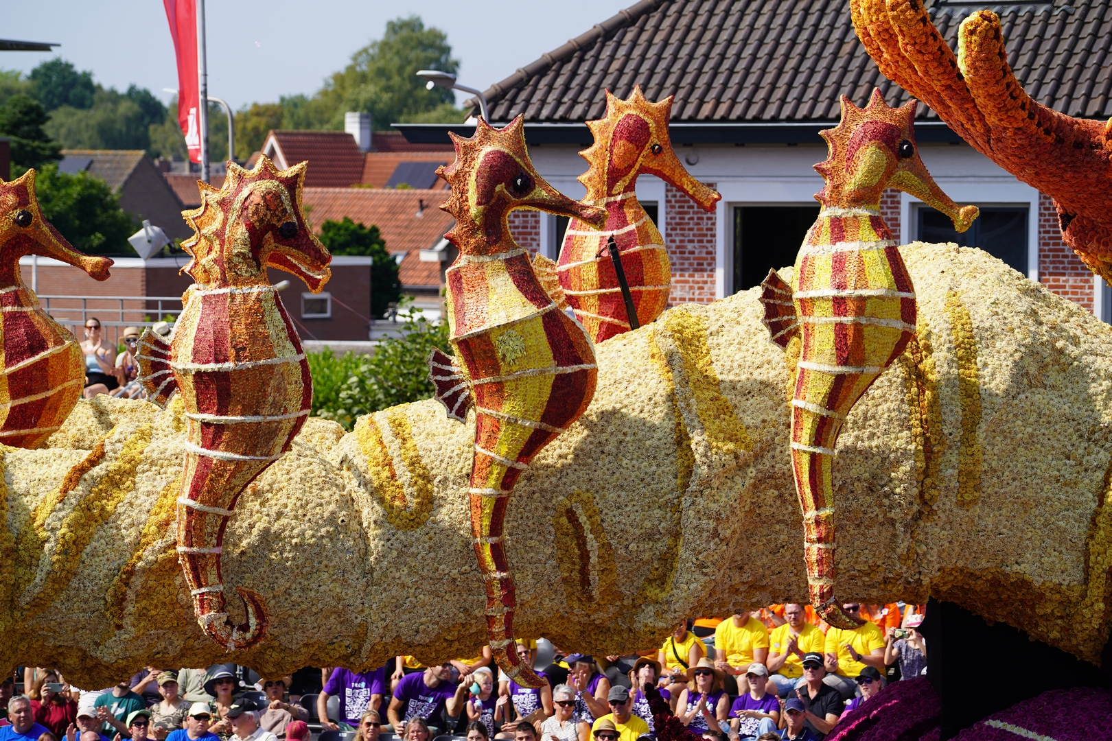 De Diepzeeduiker, Foto Sander Vlug