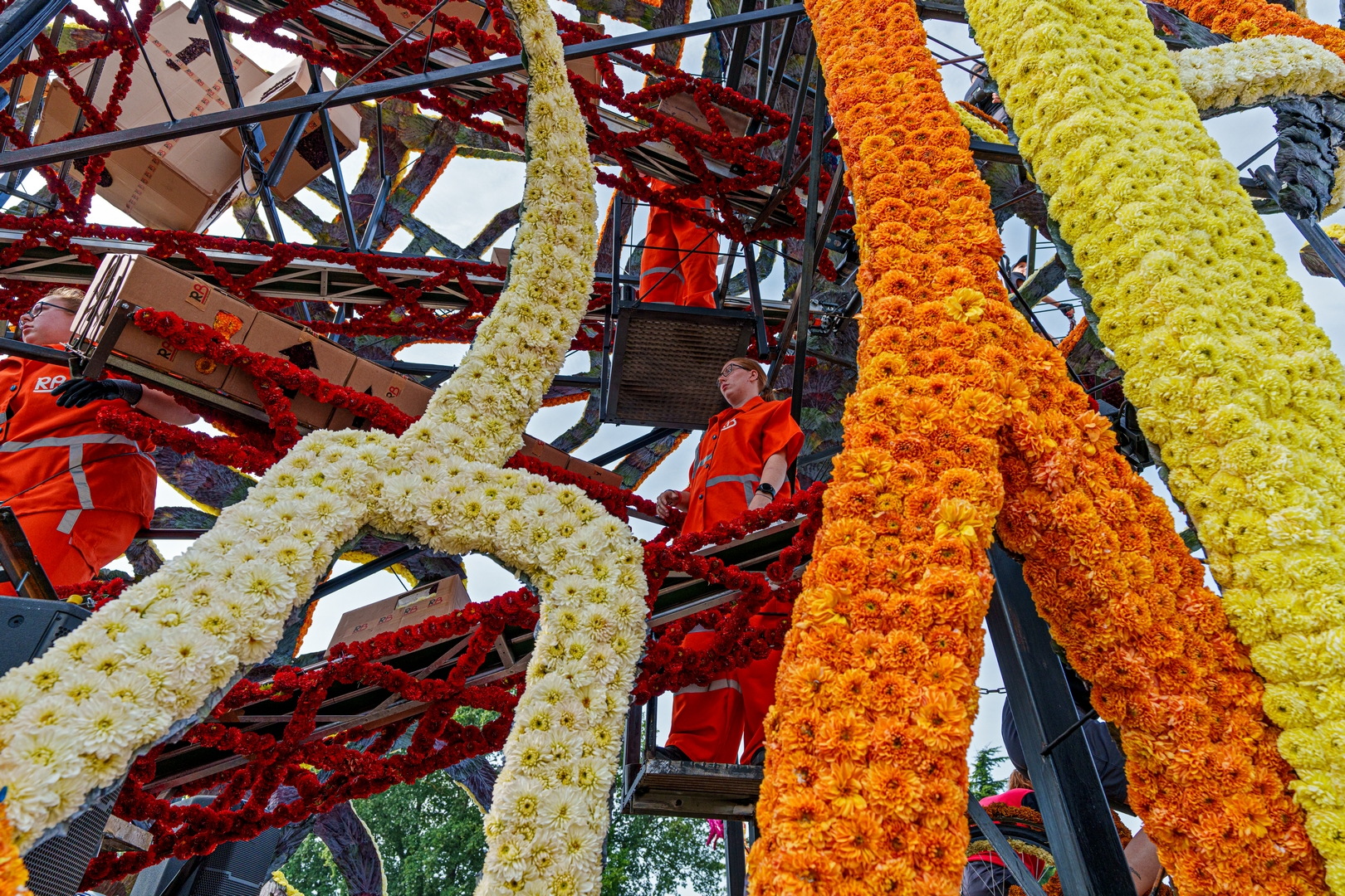 Voor Acht Uur Besteld, Foto Paul Ranft