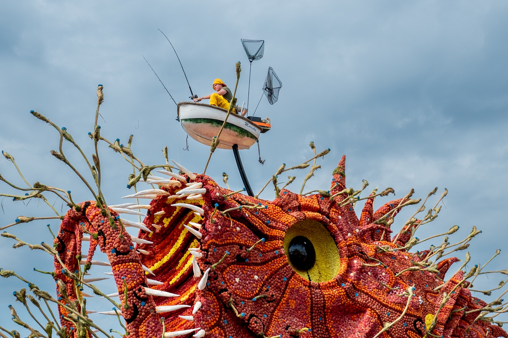 Beet!, Foto José van Trijp fotografie