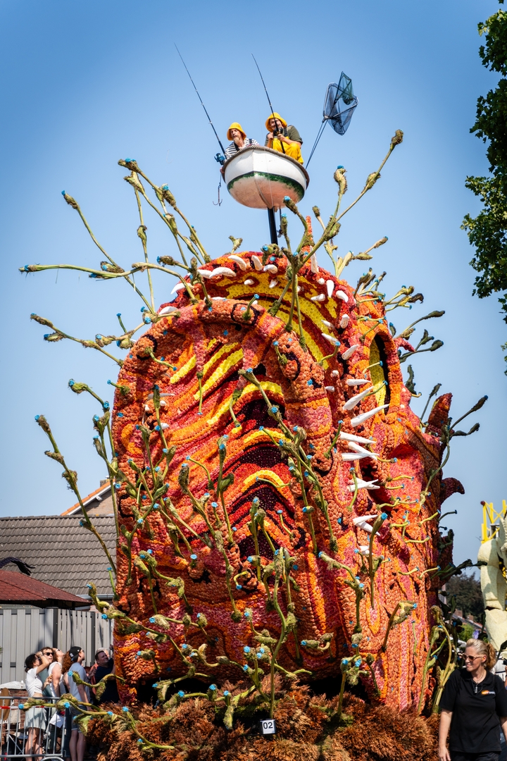 Beet!, Foto Eefje fotografie