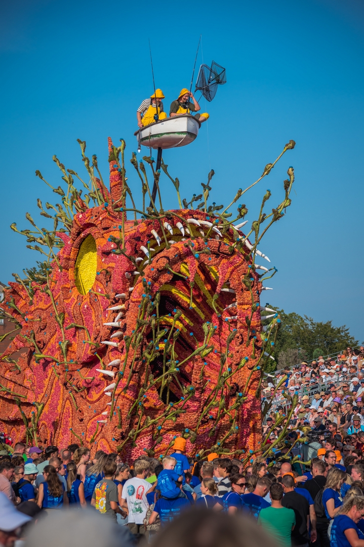 Beet!, Foto Charles van Campenhout
