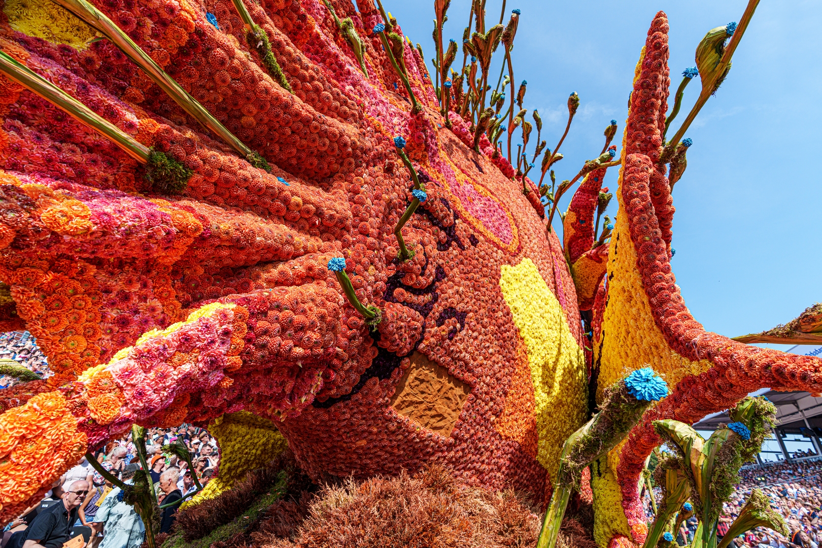 Beet!, Foto Paul Ranft