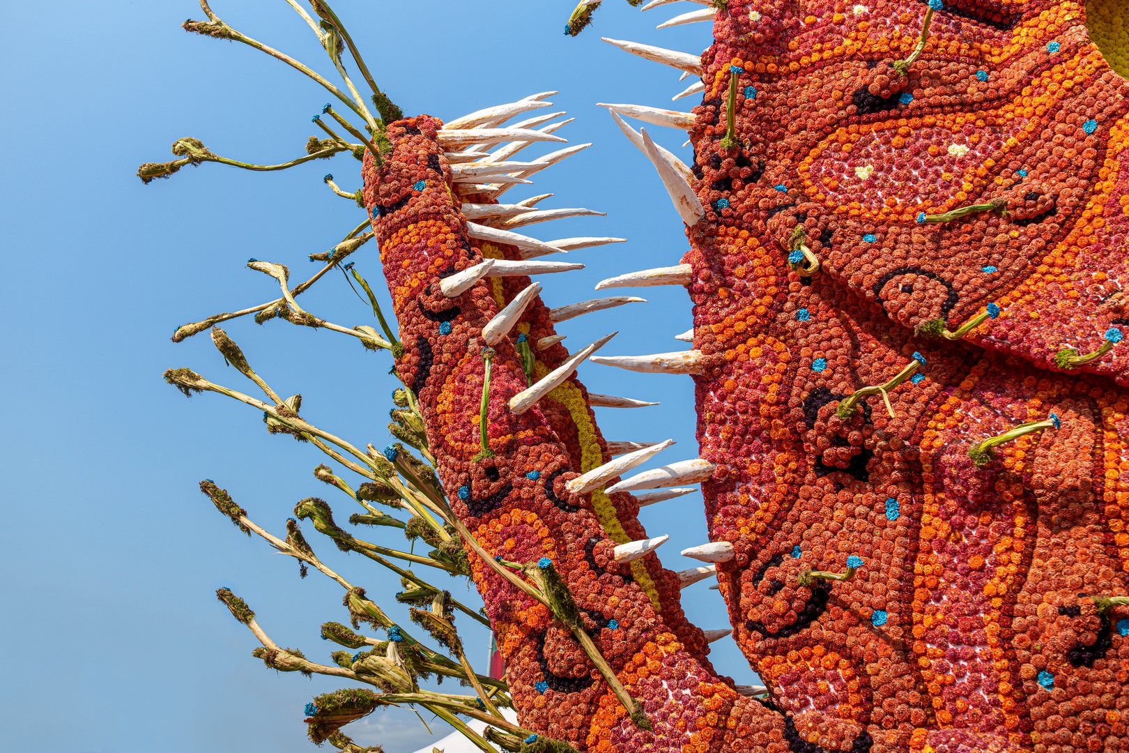 Beet!, Foto Paul Ranft