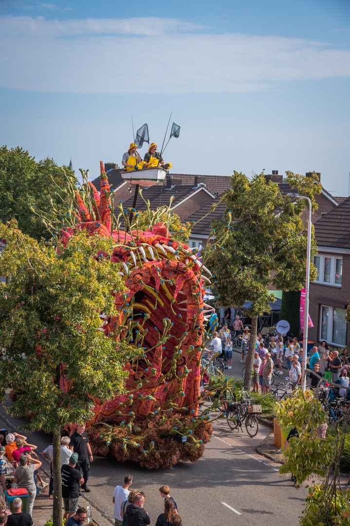 Beet!, Foto Charles van Campenhout
