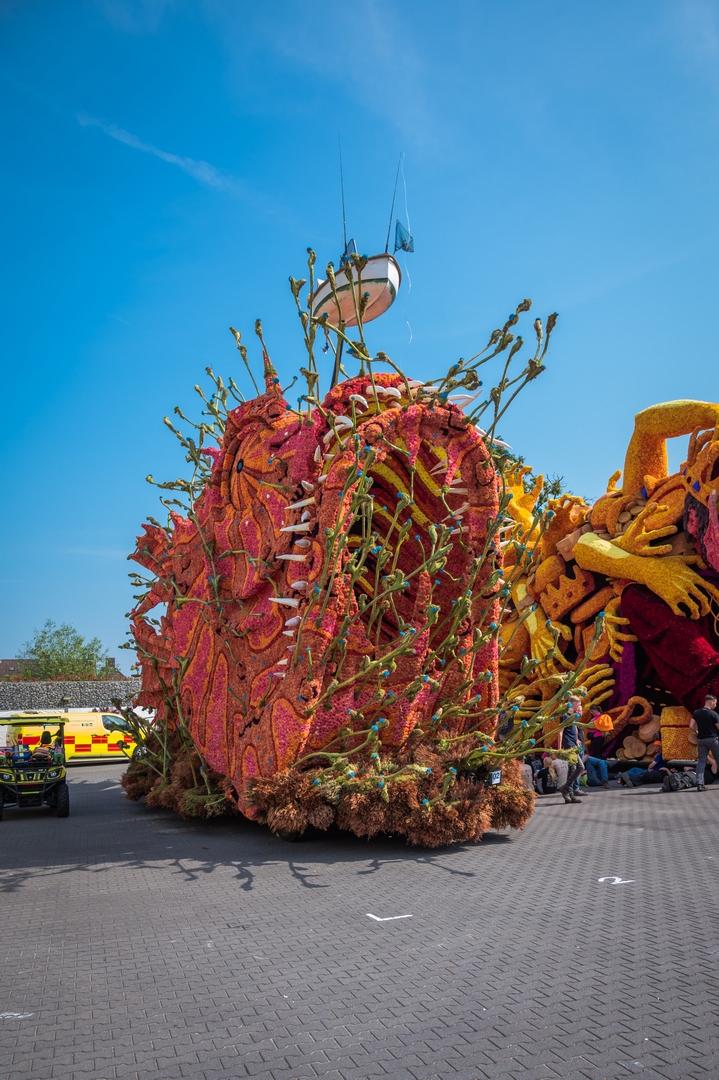Beet!, Foto Charles van Campenhout