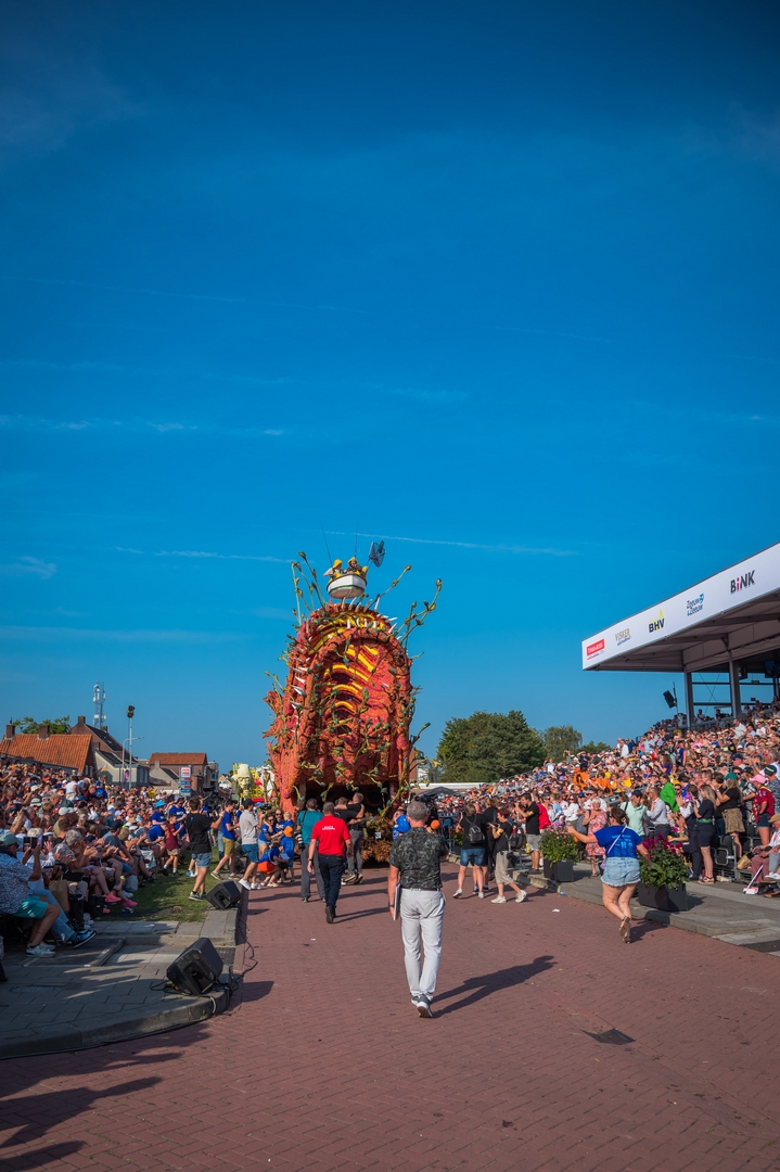 Beet!, Foto Charles van Campenhout