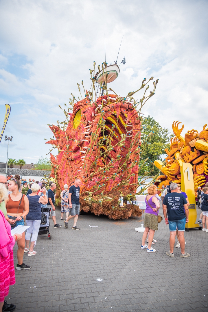 Beet!, Foto Charles van Campenhout