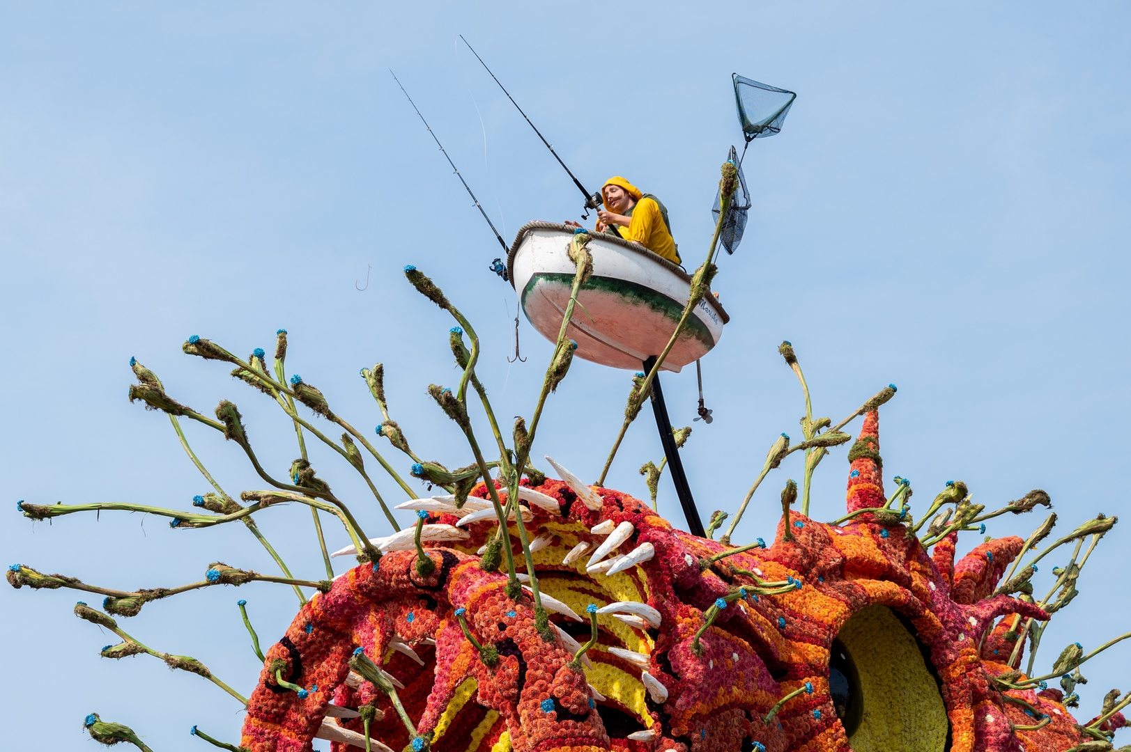 Beet!, Foto José van Trijp fotografie