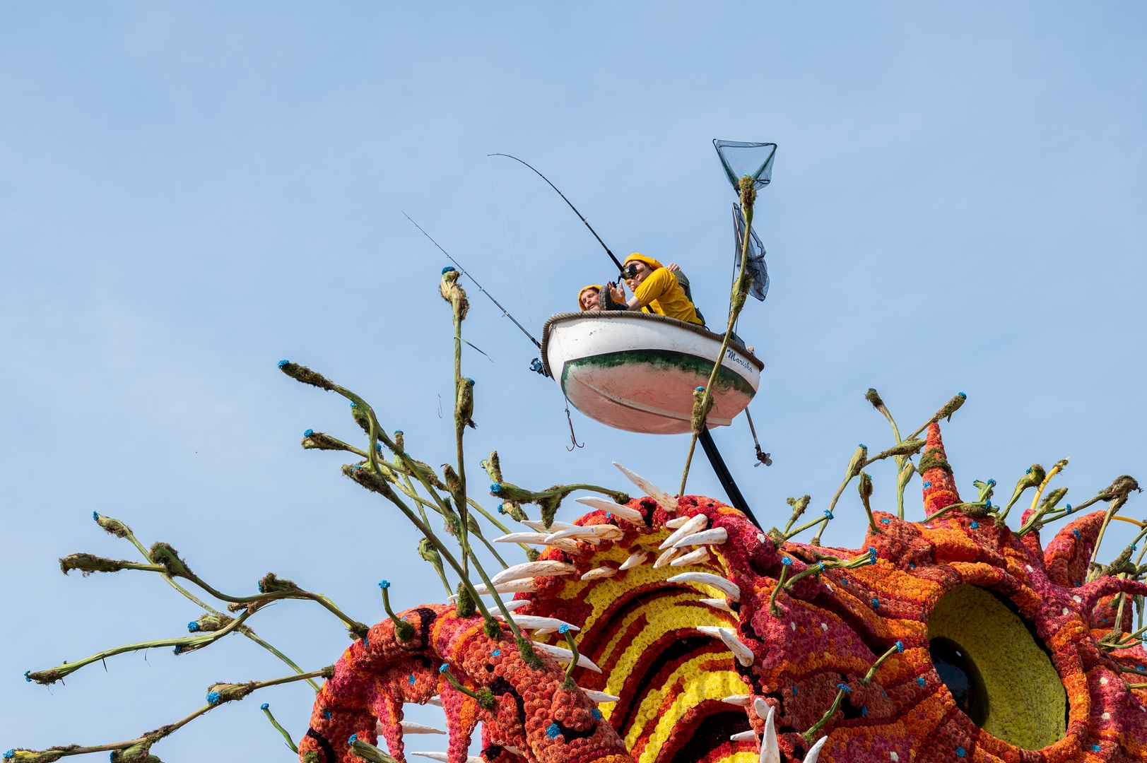 Beet!, Foto José van Trijp fotografie