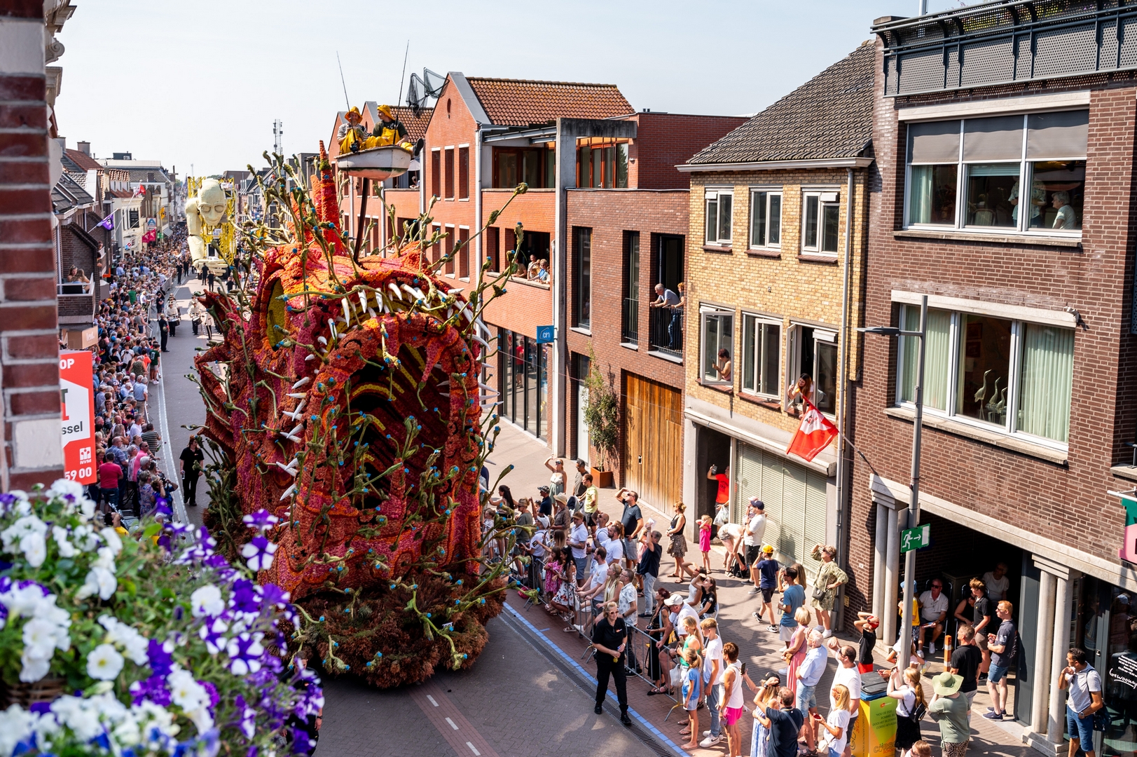 Beet!, Foto José van Trijp fotografie