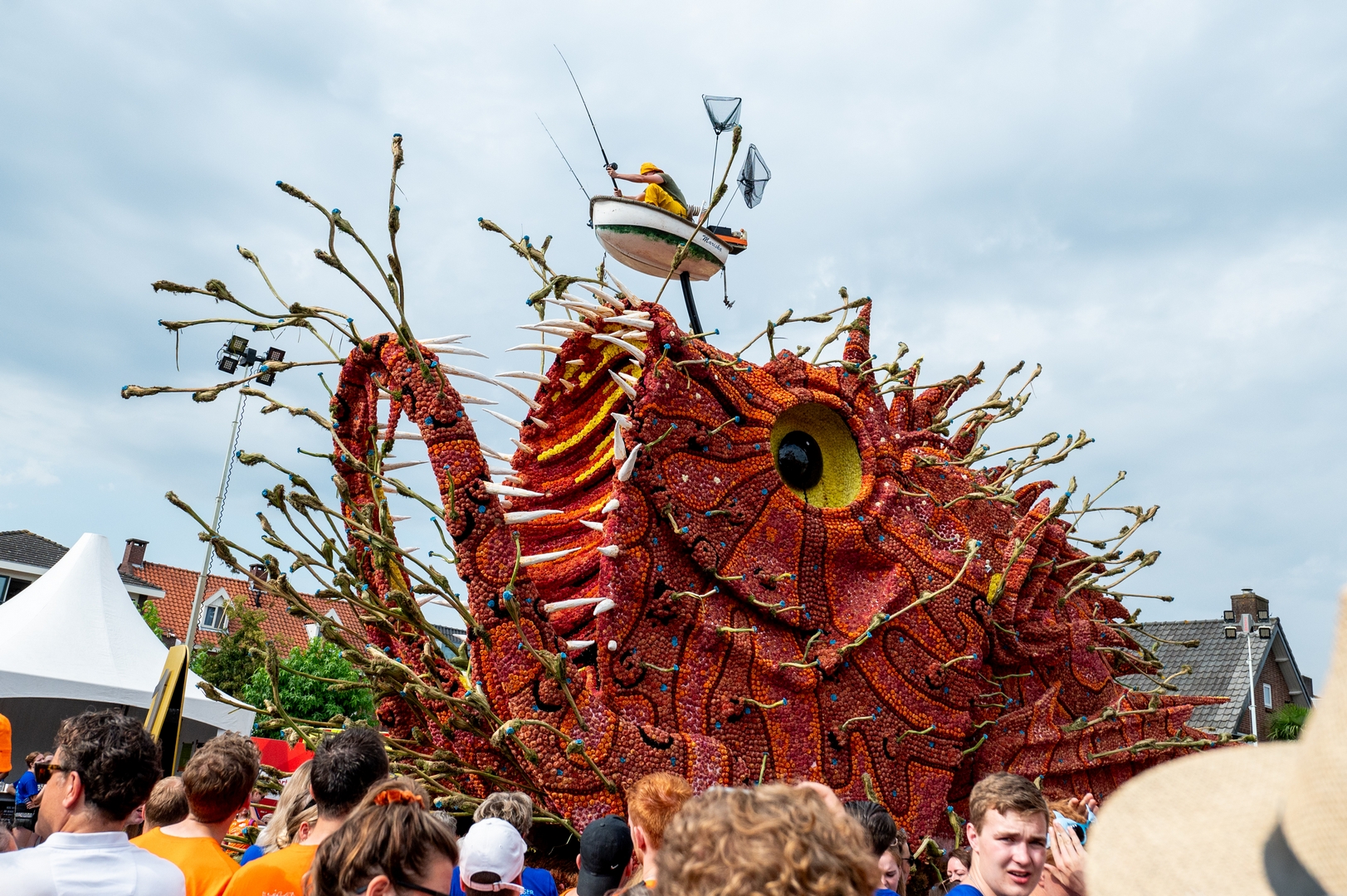 Beet!, Foto José van Trijp fotografie