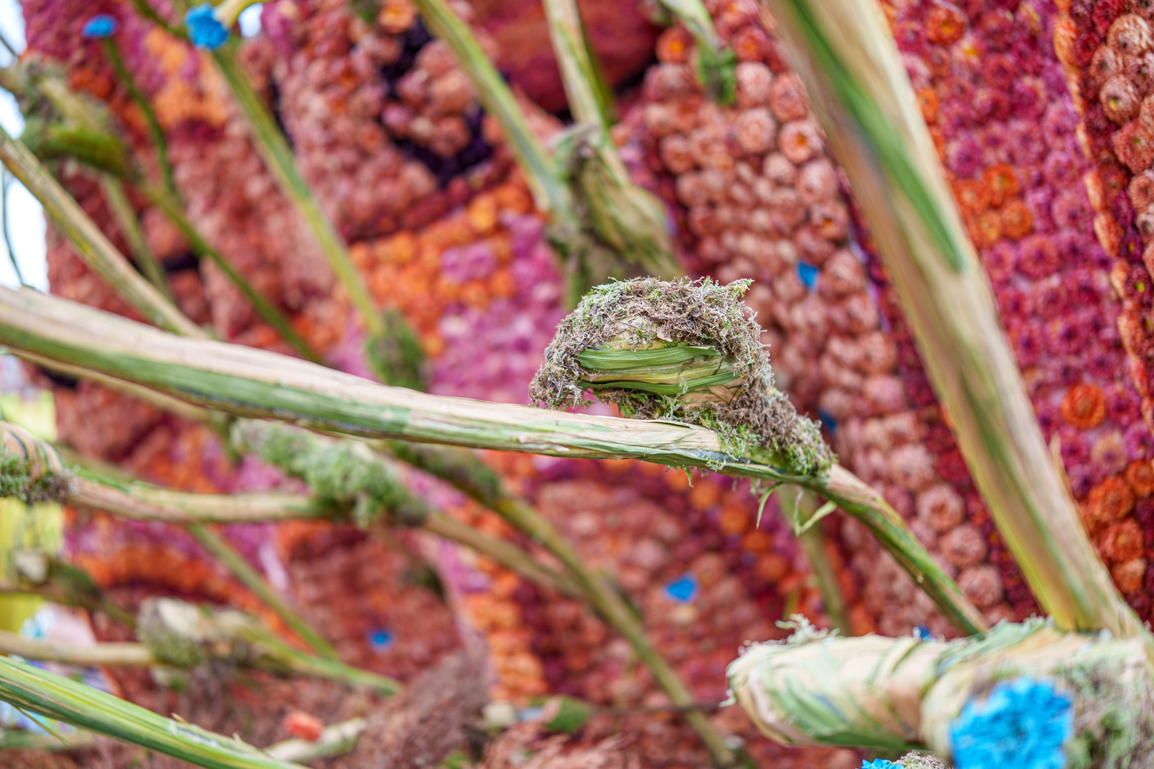 Beet!, Foto Paul Ranft