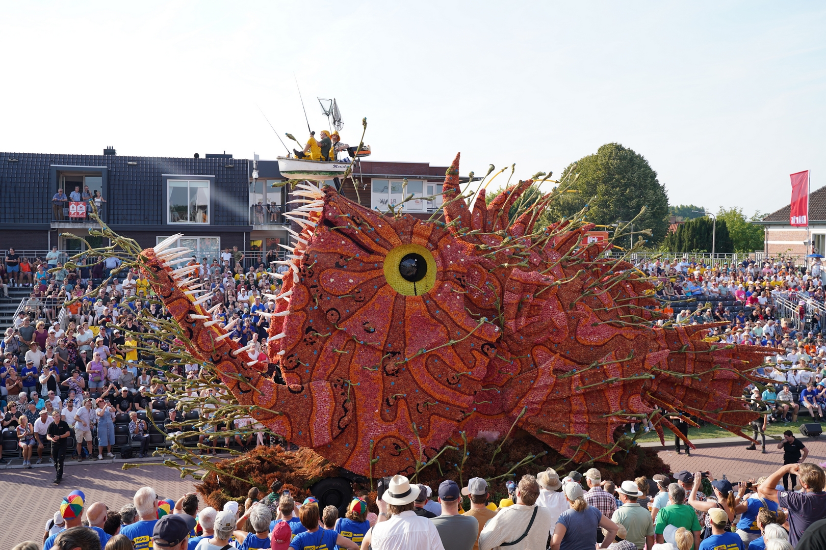 Beet!, Foto Sander Vlug