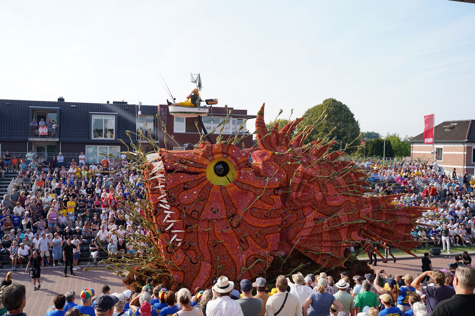 Beet!, Foto Sander Vlug