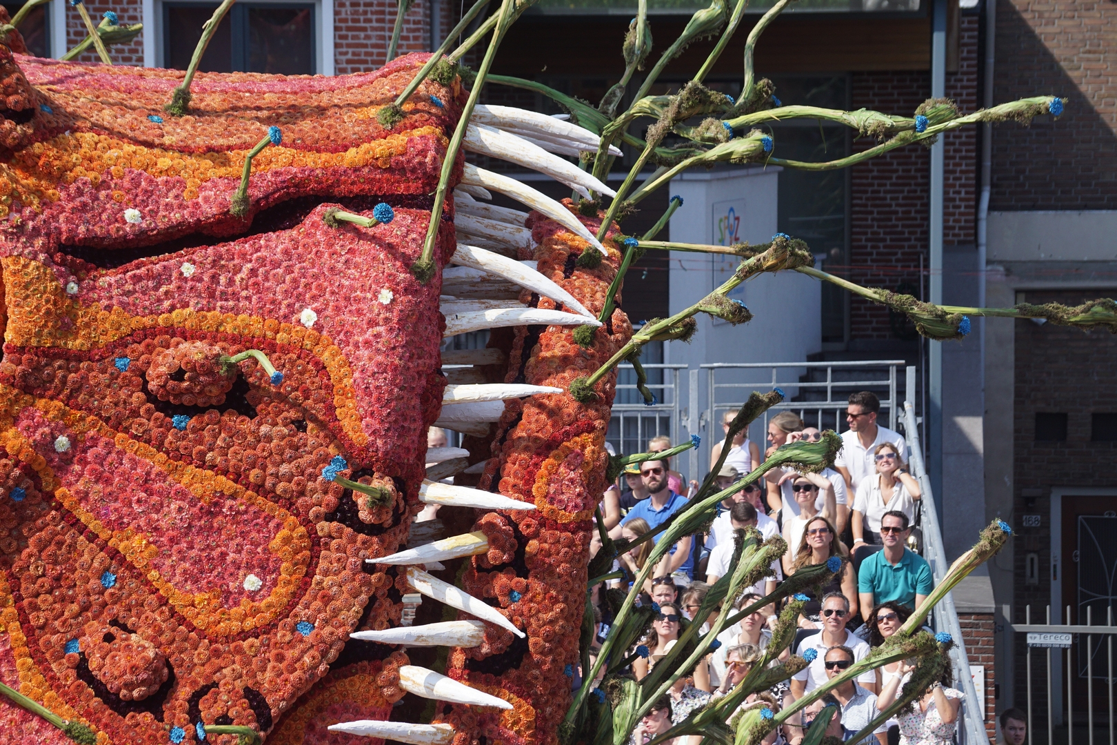 Beet!, Foto Ad van den Kieboom
