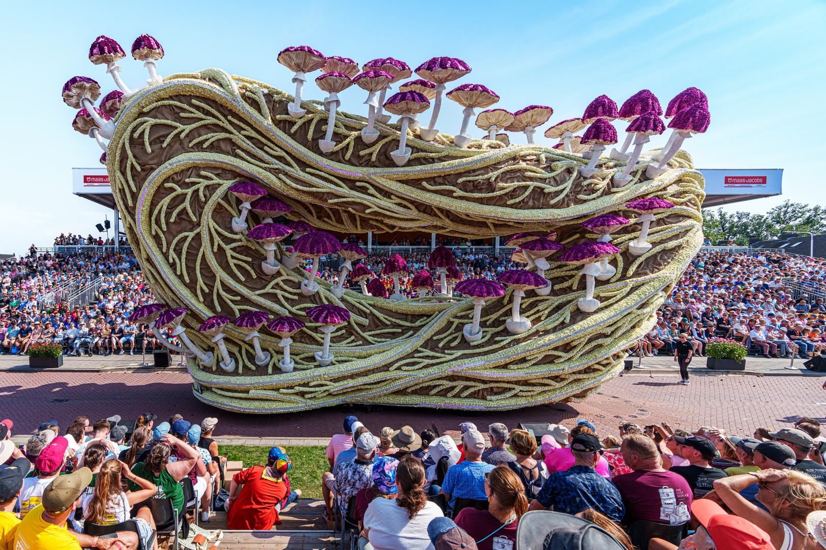 Mycelium 'Een netwerk van schimmeldraden', Foto Paul Ranft