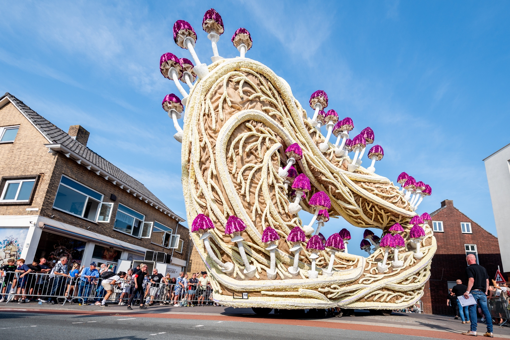 Mycelium 'Een netwerk van schimmeldraden', Foto José van Trijp fotografie