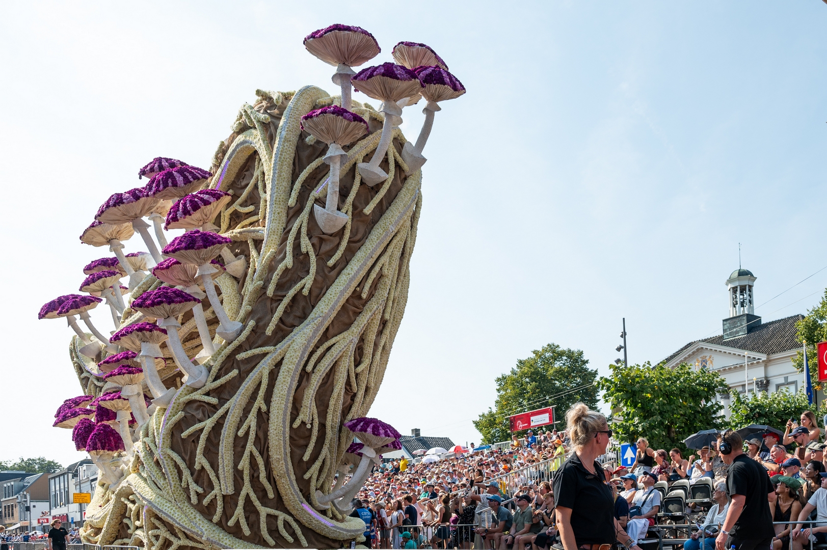 Mycelium 'Een netwerk van schimmeldraden', Foto José van Trijp fotografie