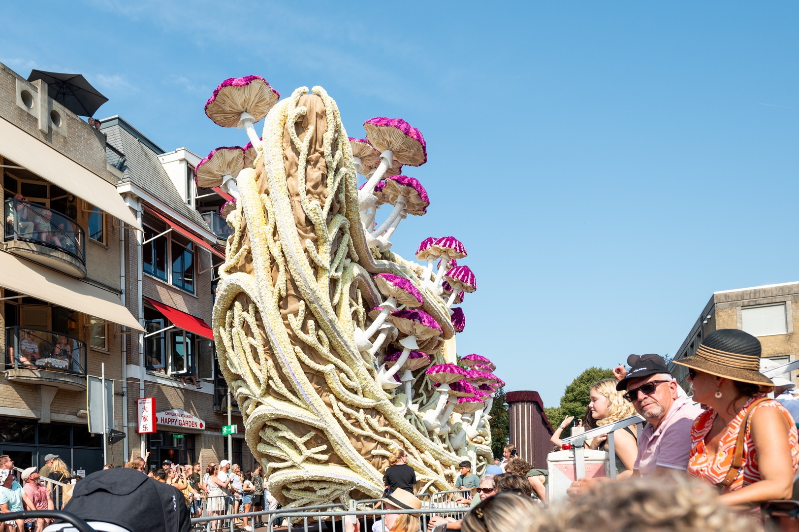 Mycelium 'Een netwerk van schimmeldraden', Foto José van Trijp fotografie