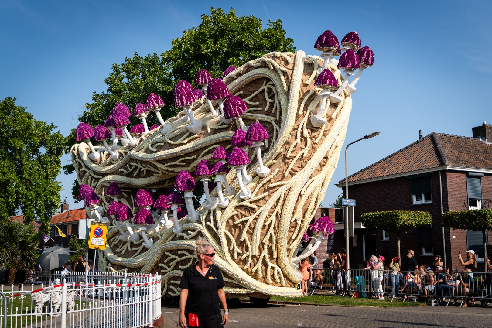 Mycelium 'Een netwerk van schimmeldraden', Foto Eefje fotografie