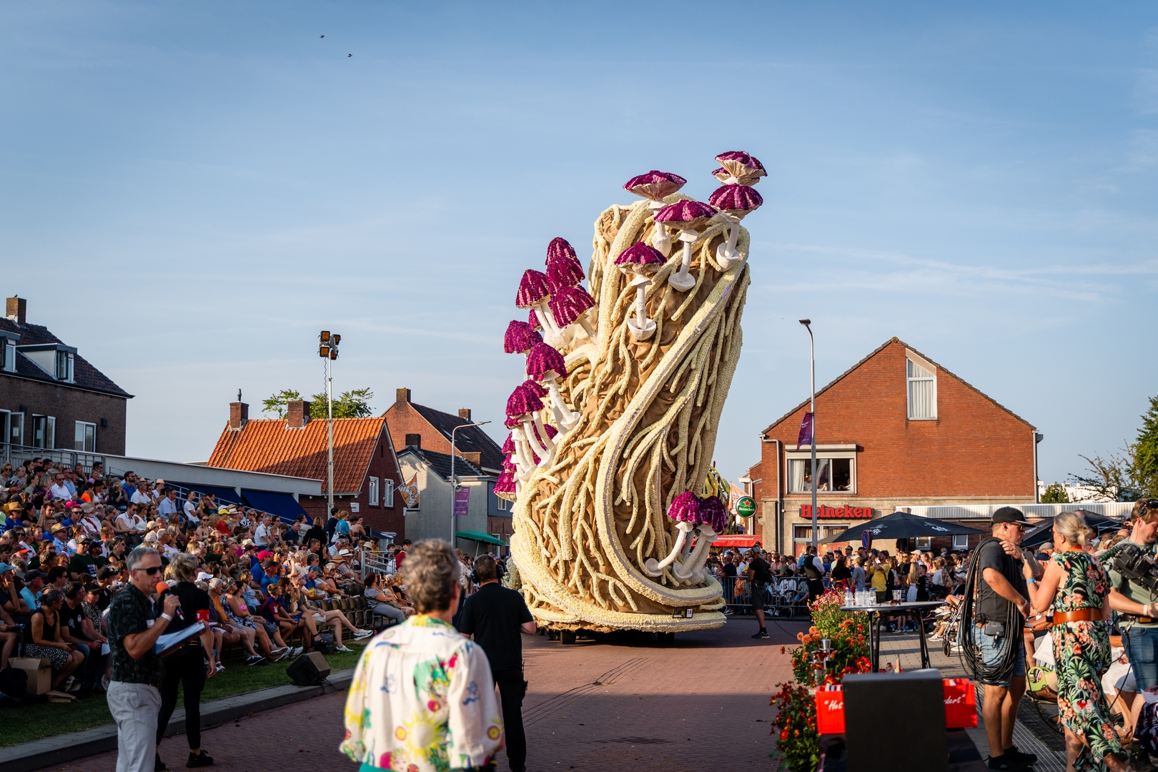 Mycelium 'Een netwerk van schimmeldraden', Foto Eefje fotografie