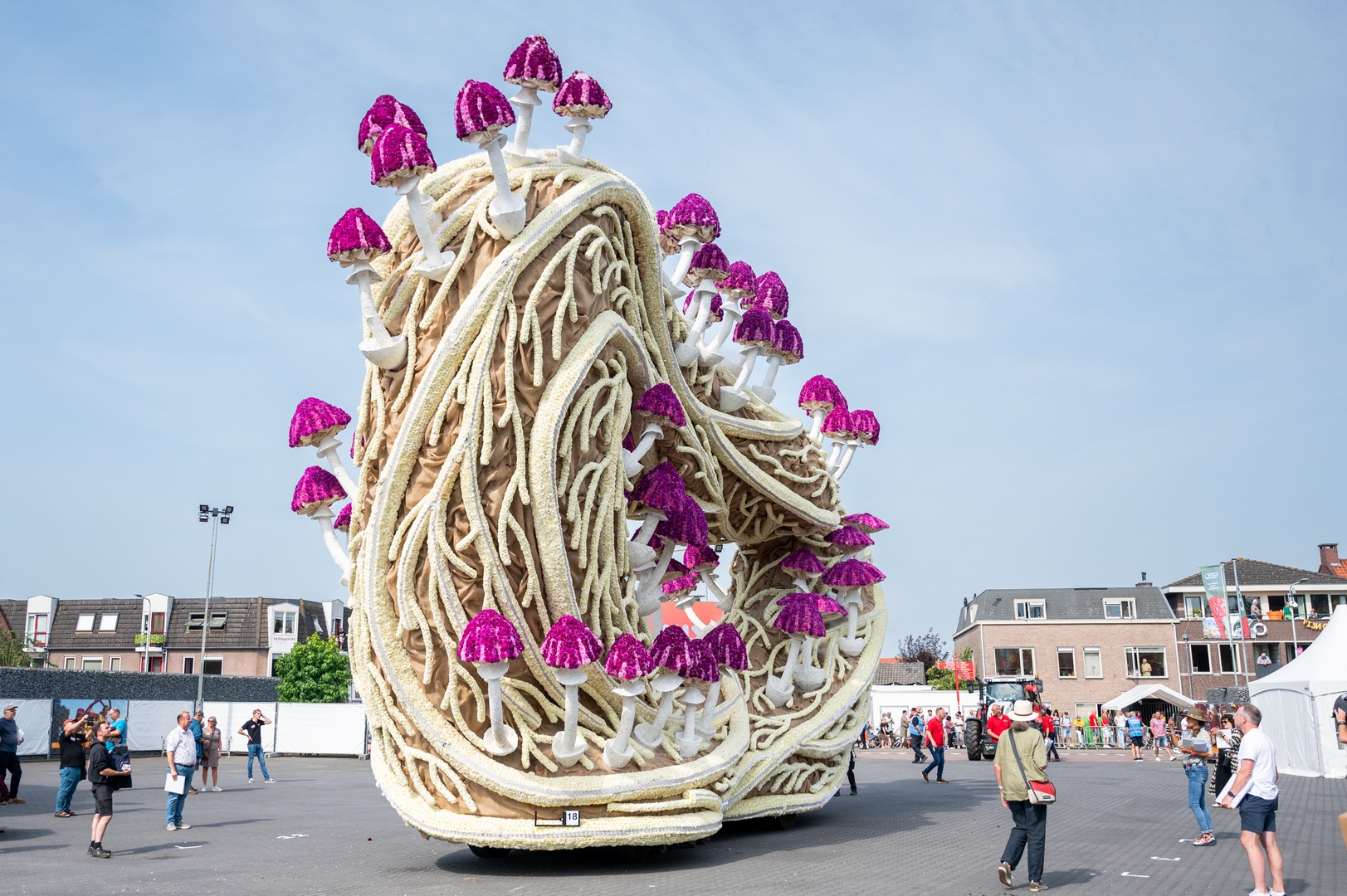 Mycelium 'Een netwerk van schimmeldraden', Foto José van Trijp fotografie