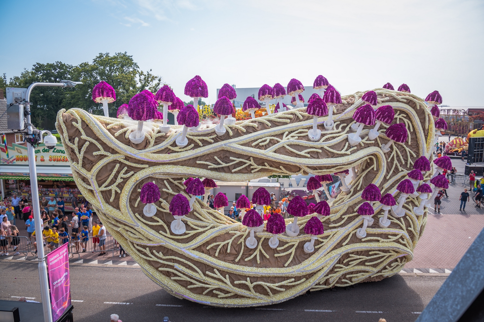 Mycelium 'Een netwerk van schimmeldraden', Foto Charles van Campenhout
