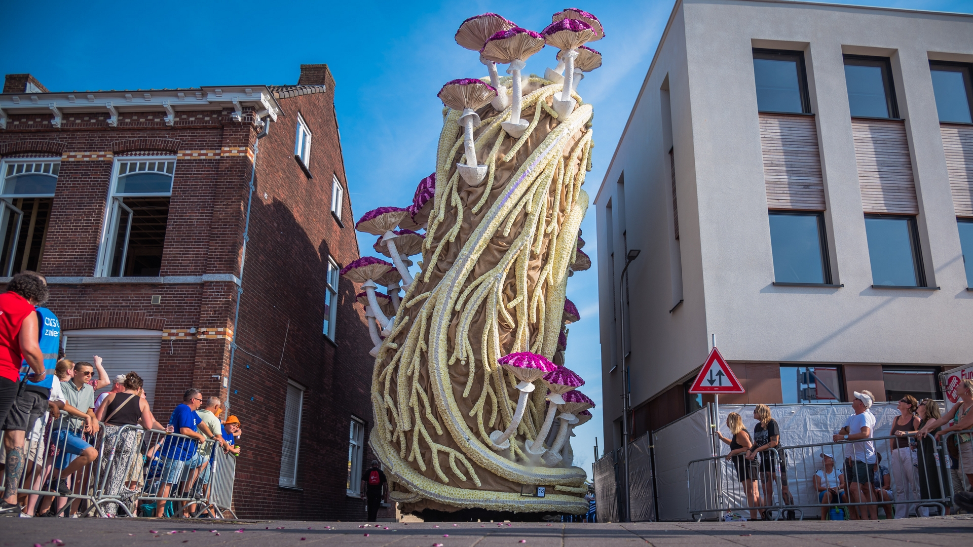 Mycelium 'Een netwerk van schimmeldraden', Foto Charles van Campenhout