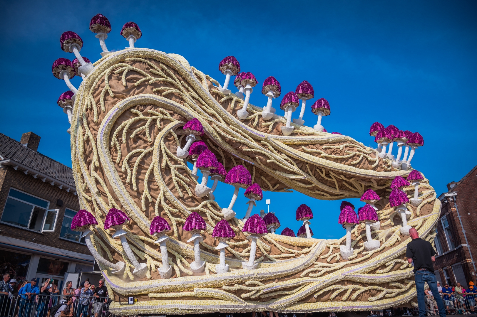 Mycelium 'Een netwerk van schimmeldraden', Foto Charles van Campenhout