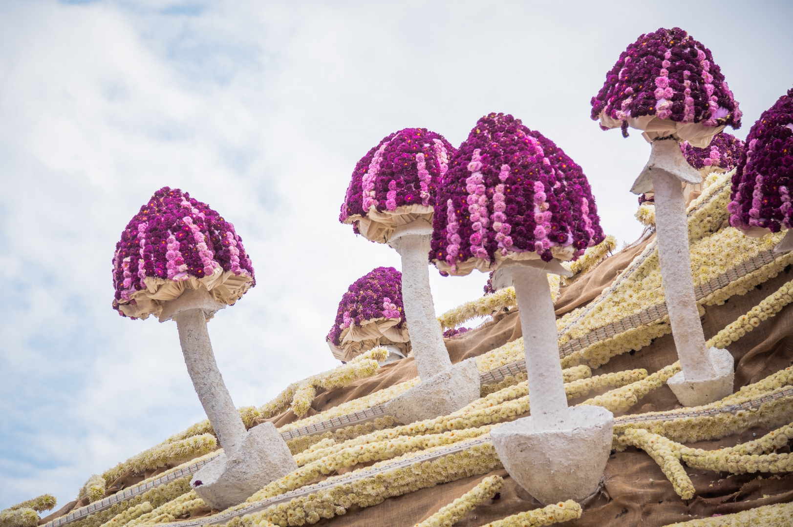 Mycelium 'Een netwerk van schimmeldraden', Foto Charles van Campenhout