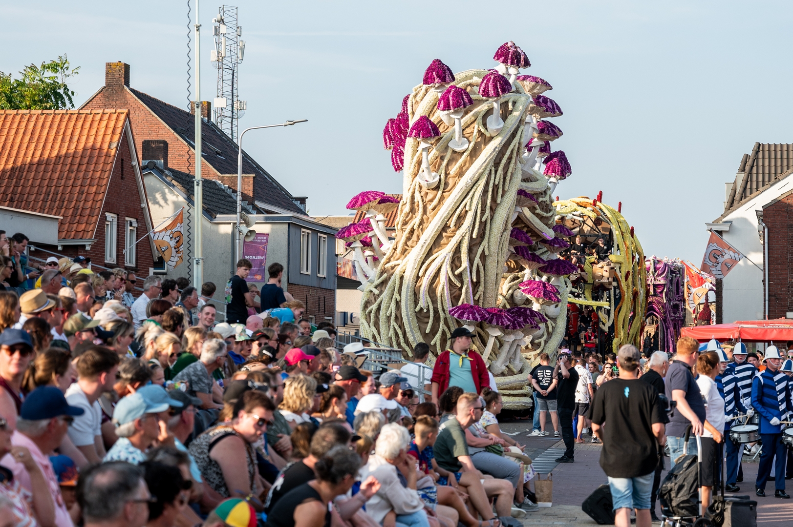 Mycelium 'Een netwerk van schimmeldraden', Foto José van Trijp fotografie